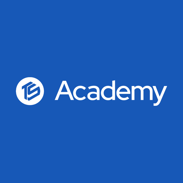 TS Academy logo